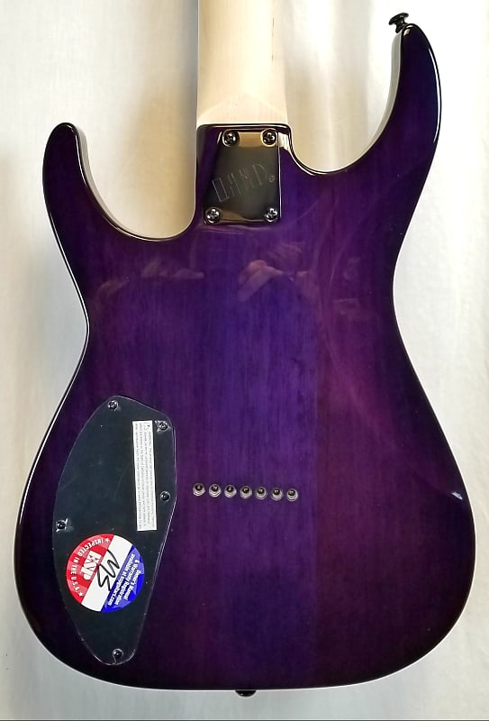 Purple Guitar Dye – Submitted Image