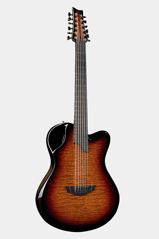 X2012 String Carbon Fiber 12string acoustic guitar, Reverb