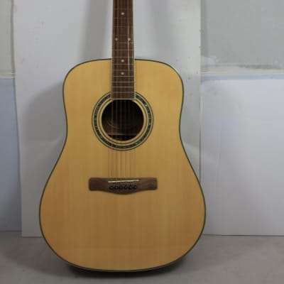 Mitchell D120PK 6 String Acoustic Guitar for sale