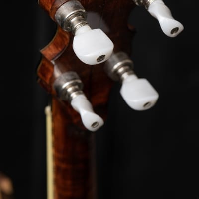 Wildwood Troubadour 5-String Open-Back Banjo Circa 1973 - Gloss image 20