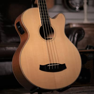 Tanglewood TW8 AB Acoustic Bass image 3