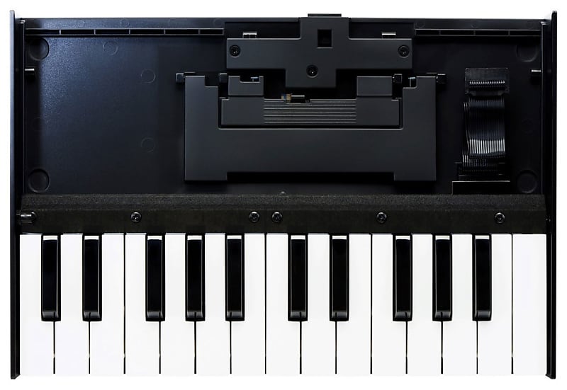 Roland Boutique Series K-25M 25-key Keyboard for Roland Boutique Modules image 1