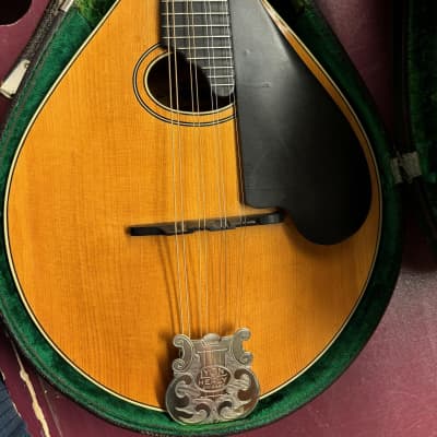 Lyon and Healy Mandolin Style C Vintage USED 1928 | Reverb