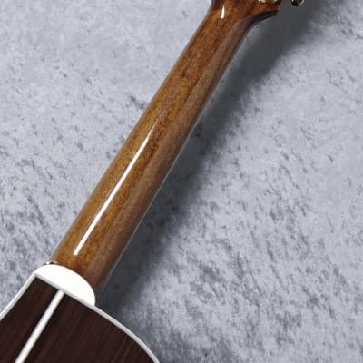 Takamine PTU141C-12 N 2022 | Reverb
