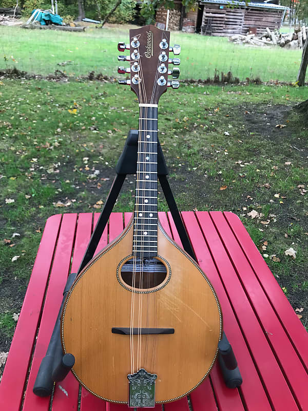 Oakwood OM114 Mandolin Reverb UK