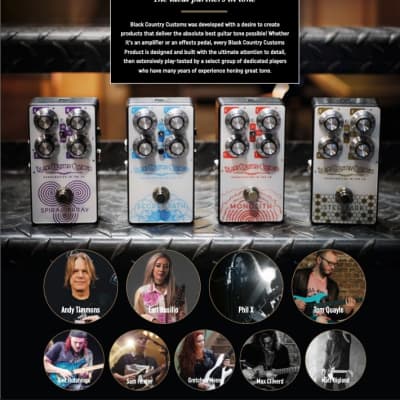LANEY Black Country Customs Secret Path enhanced reverb pedal handmade in the UK image 2