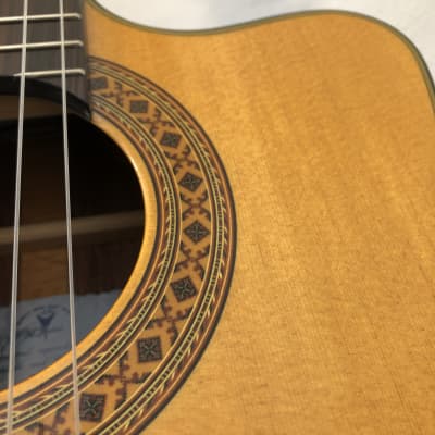 K Yairi CY127 CE (2008) 59472 Nylon string, electro with cutaway, in a Ortega softcase. Made Japan. image 15