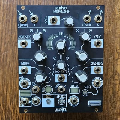 Make Noise MORPHAGENE Granular Sampler Module | Reverb