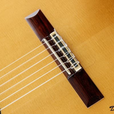1995 Paul McGill Concert Classical, Indian Rosewood/Spruce image 13