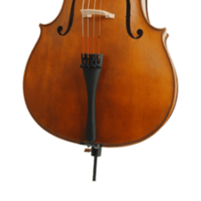 Cello 4/4 by German Master Rudolf Schuster Baiersdorf Erlangen 1987 | Reverb