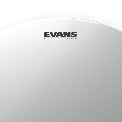 Evans UV2 Coated Drumhead, 16 Inch image 2