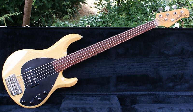 Ernie ball fretless deals bass