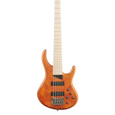 MTD Kingston Z5MP 5-String Bass Satin Amber image 2