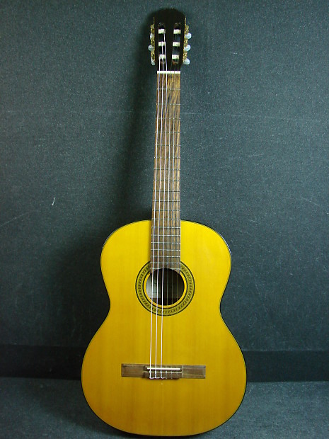Takamine G Series G124 Classical Nylon String Acoustic Guitar W Case