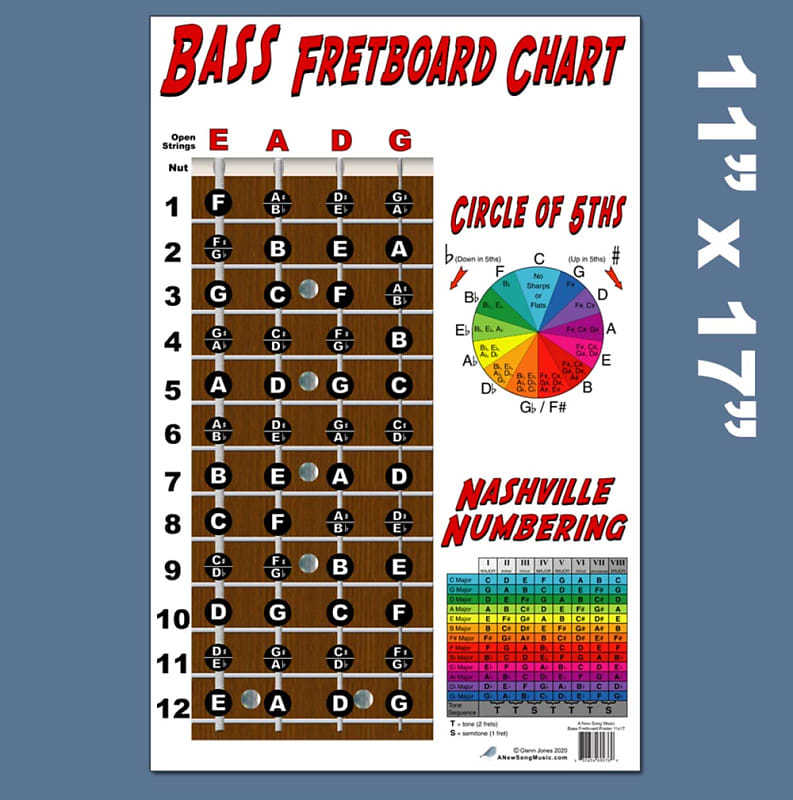 4 String Bass Fretboard Instructional Chart Poster | Reverb Canada
