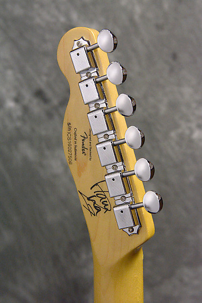 Squier by Fender Telecaster Skull Silver Dark Silver Sparkle