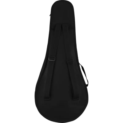 FENDER PM-180E Acoustic Mandolin image 7