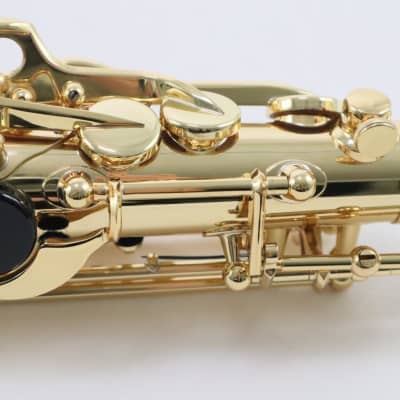 Selmer Paris Model 52AXOS Professional Alto Saxophone MINT CONDITION image 23