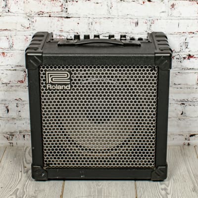 Roland CUBE-30X 2-Channel 30-Watt 1x10