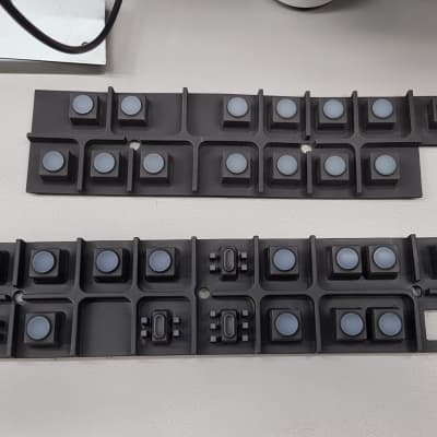 Moog Little Phatty Button Membrane Pads - Pair