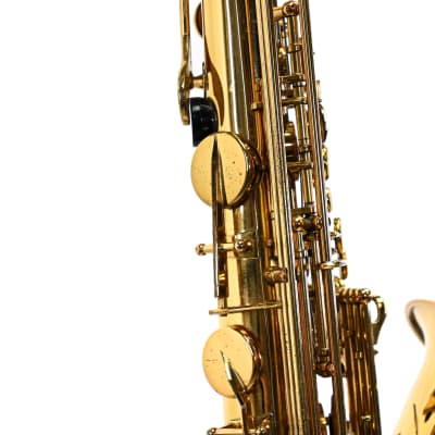Elkhardt Tenorsax Super Deluxe image 12