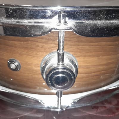 DW Collector's Series Maple 5x14" Snare Drum image 4