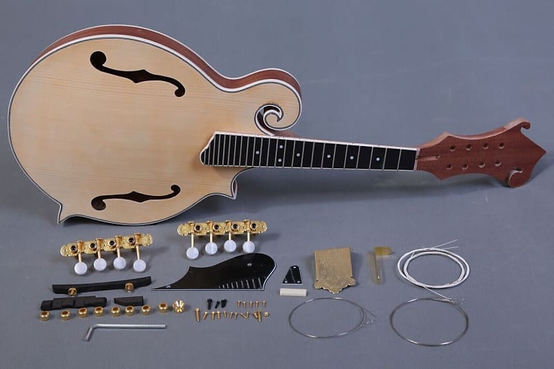 DIY-MAKE YOUR OWN KENTUCKY STYLE F HOLE 8 STRING CARVED TOP ACOUSTIC MANDOLIN image 1