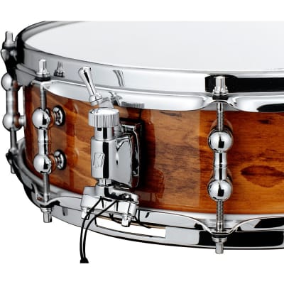 Tama Peter Erskine Signature Spruce/Maple Snare Drum 14 x 4.5 in. image 2
