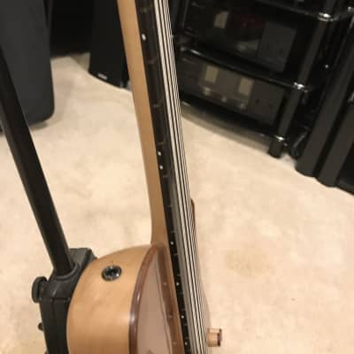 JCR Custom Fretless Tenor 5 String Bass image 15
