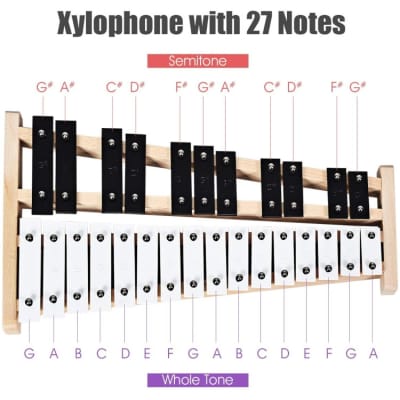 Other Sonart Xylophone Wooden Percussion 2023 - Black & White image 3