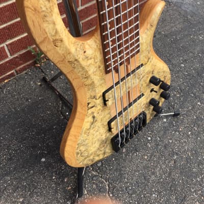 Schecter USA Custom Shop Masterworks Custom Riot-6  Buckeye Burl 6-String Bass w/ Pro Gig Bag NOS image 10