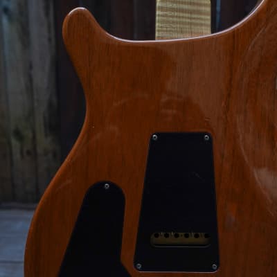 PRS Custom 22 Tremolo - Maple Fretboard - Unique PRS from 2018! image 15