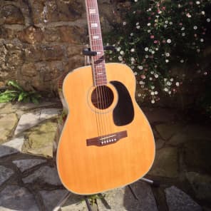 Harmony 2025 opus guitar