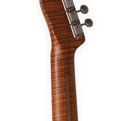 Iconic Guitars Tamarack 2022 - Butterscotch Blonde, NEW. (Authorized Dealer) image 12