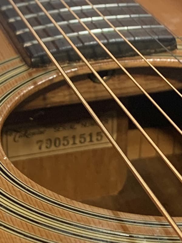 Takamine F-363 1979 - Clear | Reverb