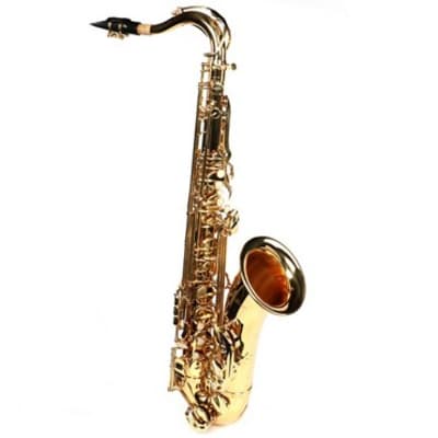 Yamaha ts100 deals tenor saxophone