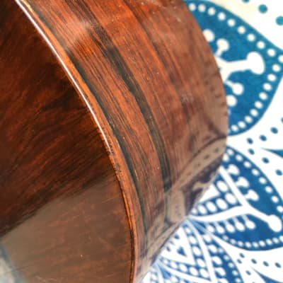 Antique Vintage 1896 Andrew Groehsl Chicago, IL Parlor Guitar Project Brazilian Rosewood image 11
