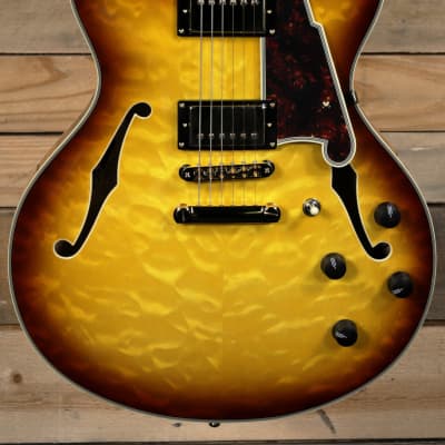 D'Angelico Excel DC XT Hollowbody Guitar Iced Tea Burst w/ Case image 2