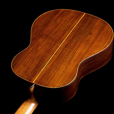 Paula Lazzarini 2022 Classical Guitar Cedar/Indian Rosewood image 3