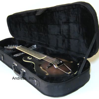 F-Style 12-String Mando-Guitar w/ Hardshell Case image 14