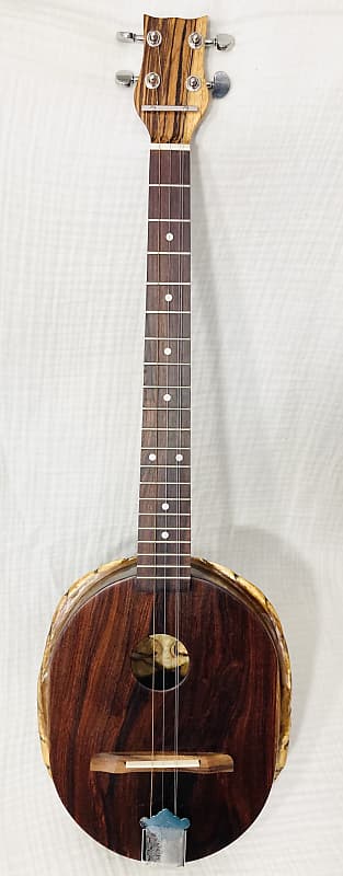 Turtle Shell Acoustic Dulcitar- rosewood top image 1