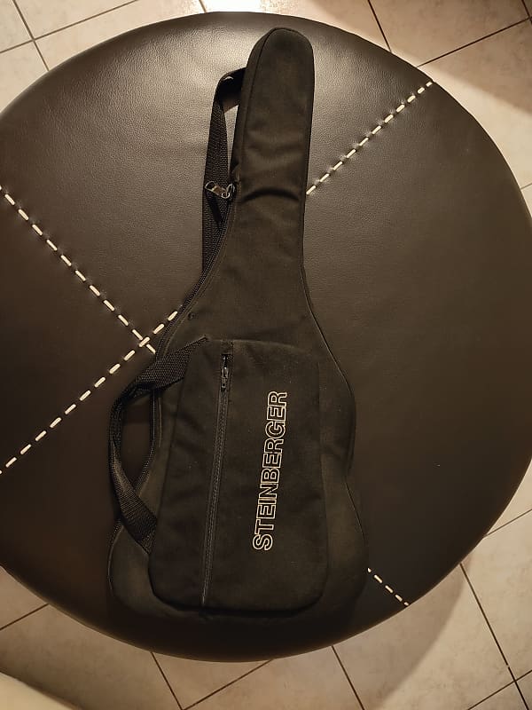 Steinberger best sale gig bag