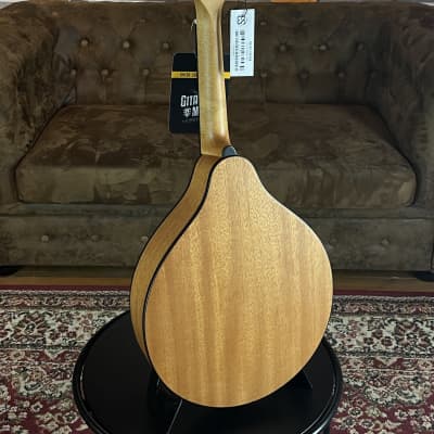 Eastman PCH-M104 Goldburst Mandolin incl. Gigbag + NEW image 9