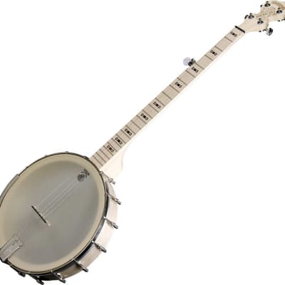 Deering Goodtime Americana Grand 5-String Banjo image 1