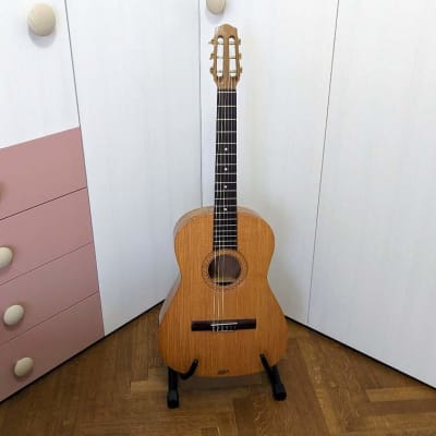 Höfner mod. 485 Vienna early 1960s nylon strings classical guitar image 5