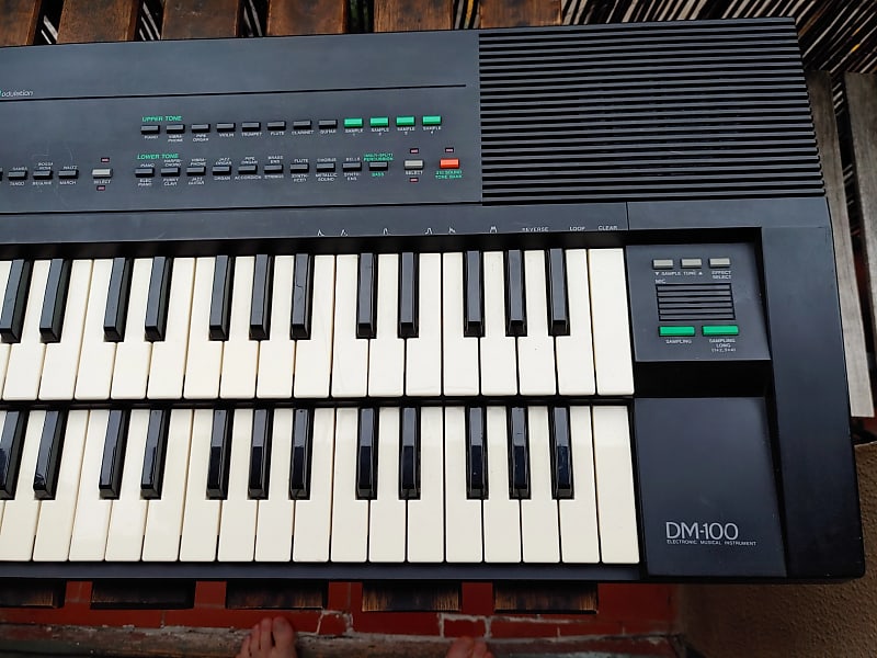 Casio Dm-100 Double Deck sampling Keyboard Sk-1 ,Sk-7,Vss30..