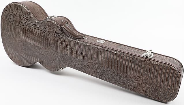 Allen Eden Brown Arch Top Les Paul Alligator Skin Hardshell Guitar Case image 1