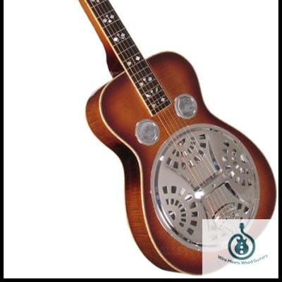 Gold Tone PBS Paul Beard Signature-Series Squareneck Mahogany Resonator Guitar w/case image 3