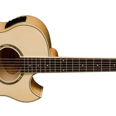 Washburn EA20 Festival Series Acoustic-Electric, Free Shipping image 1