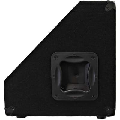 Pair 10" Floor/Stage Monitors/Speakers ~ New 300 Watts image 6